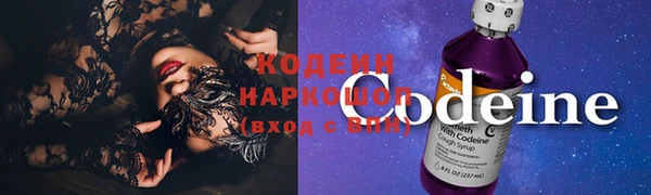 дмт Нягань