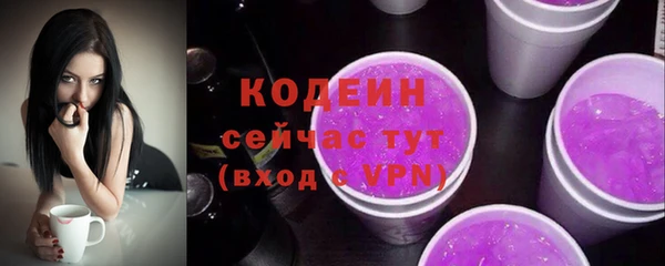 дмт Нягань