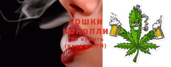 дмт Нягань