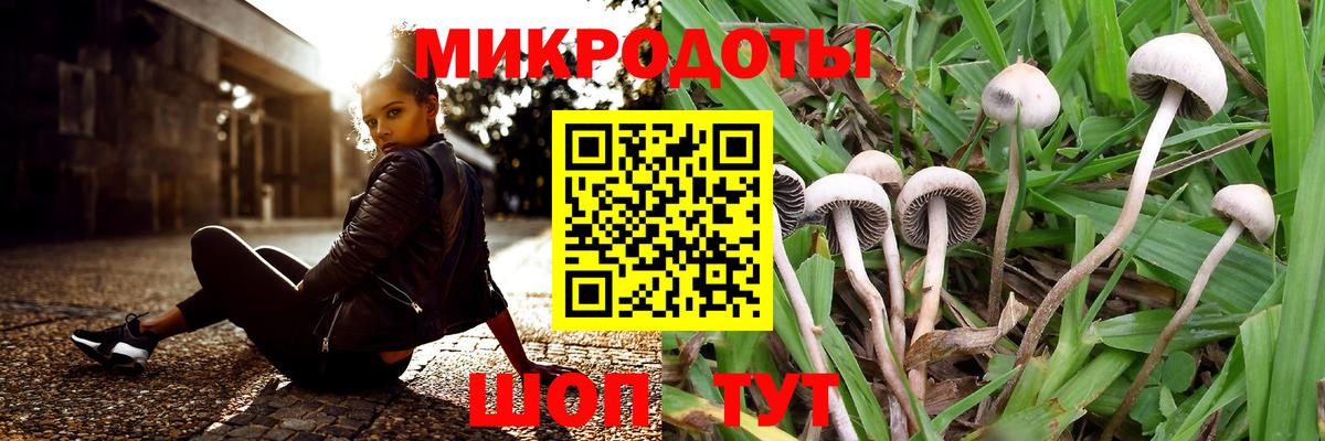 Кудымкар  Галлюциногенные грибы Cubensis  купить наркоту  Вход с VPN  Псилоцибиновые грибы Magic Shrooms 