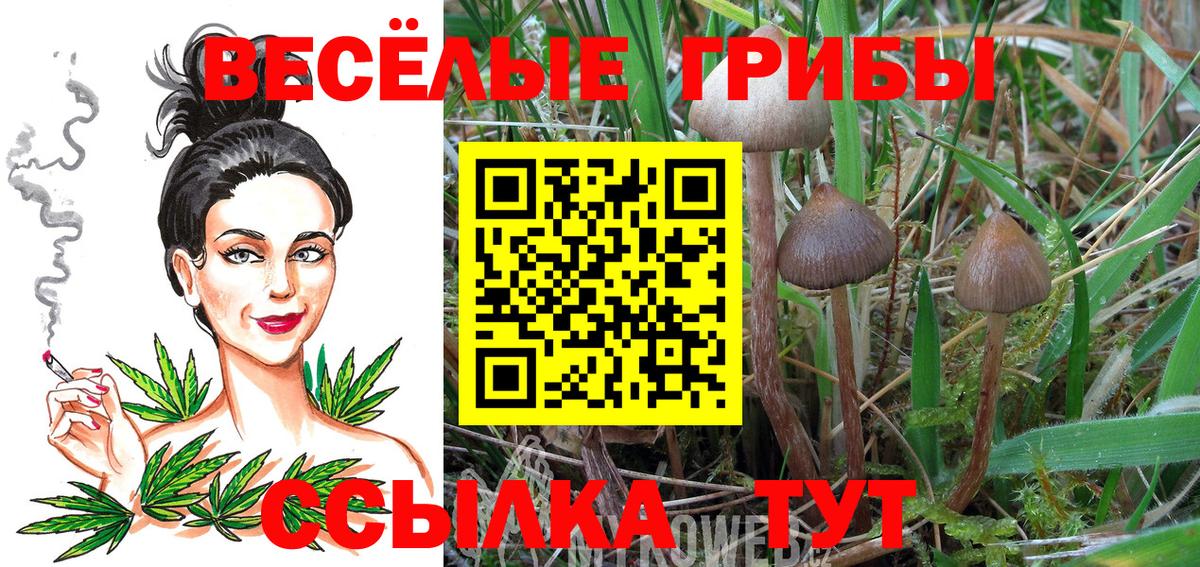 Псилоцибиновые грибы Magic Shrooms Кудымкар