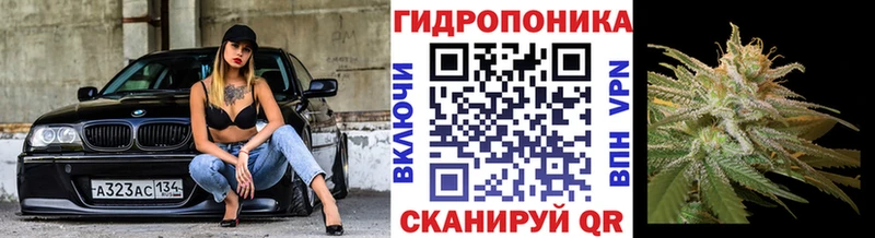 Бошки марихуана ГИДРОПОН  кракен зеркало  Кудымкар 